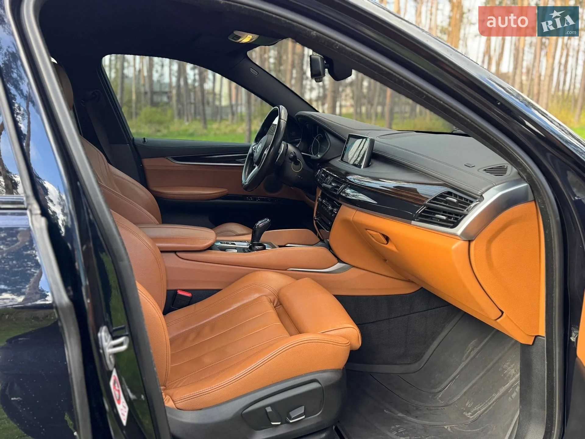 2017 BMW X6 - мініатюра 20