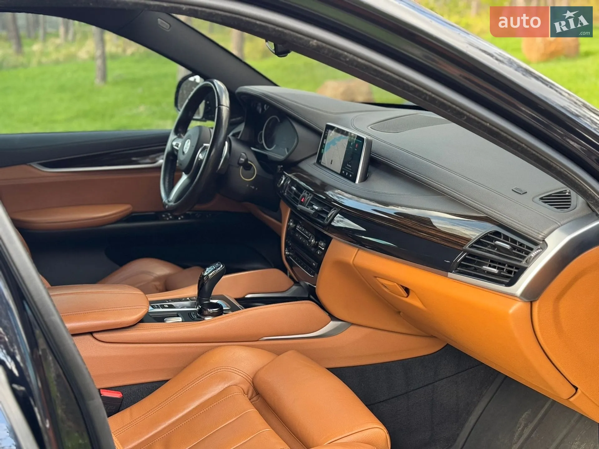 2017 BMW X6 - мініатюра 22