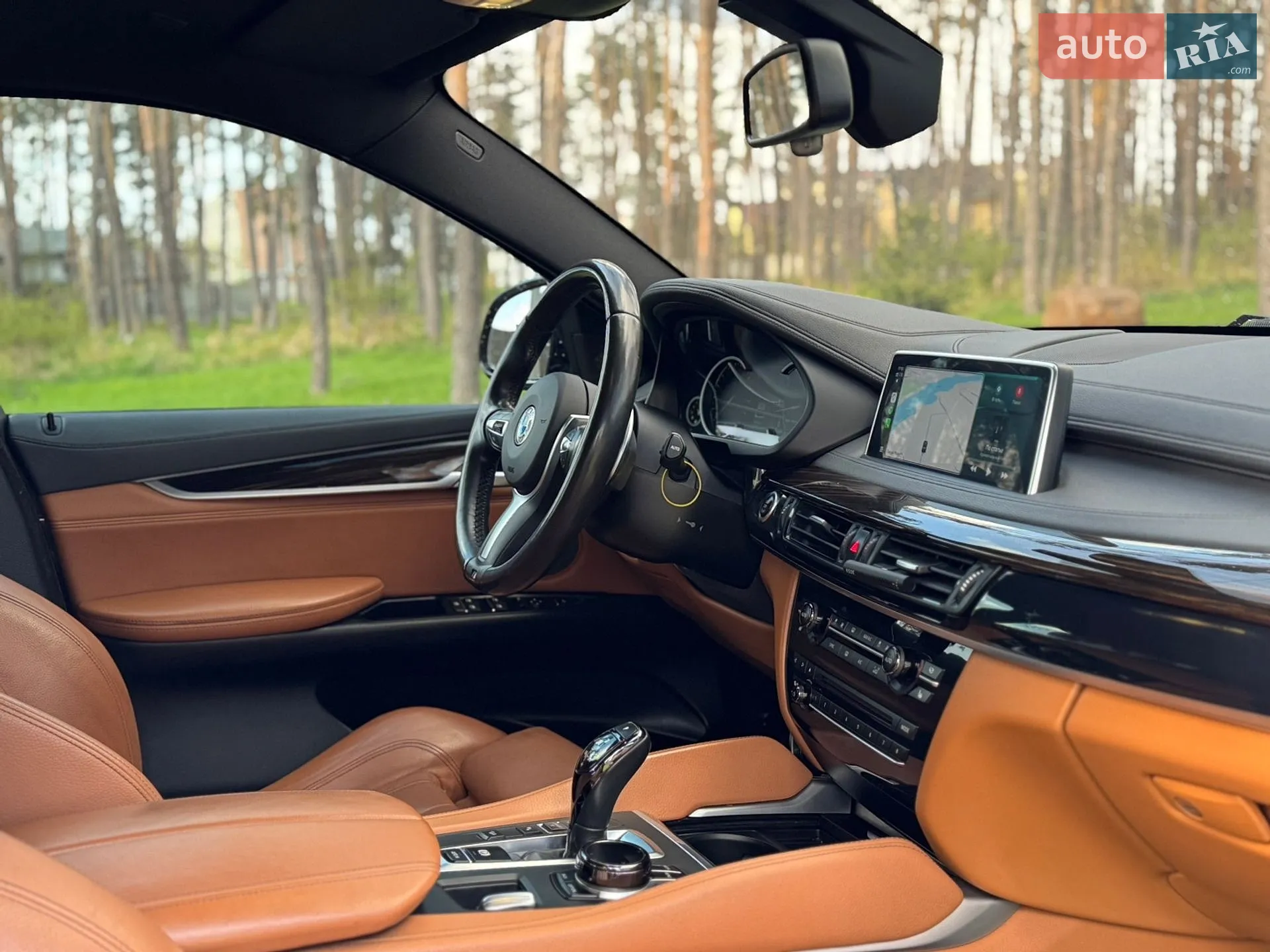 2017 BMW X6 - мініатюра 23