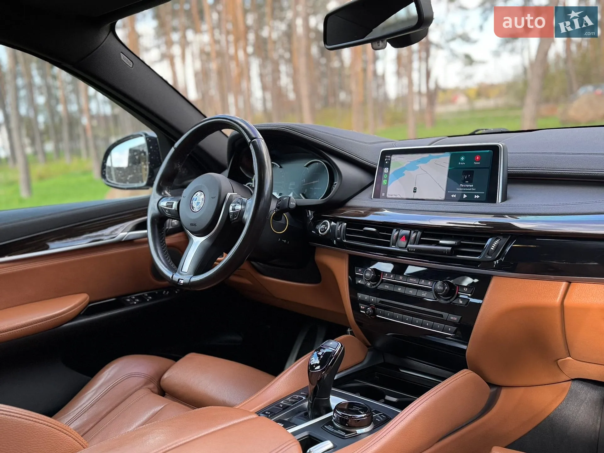 2017 BMW X6 - мініатюра 24