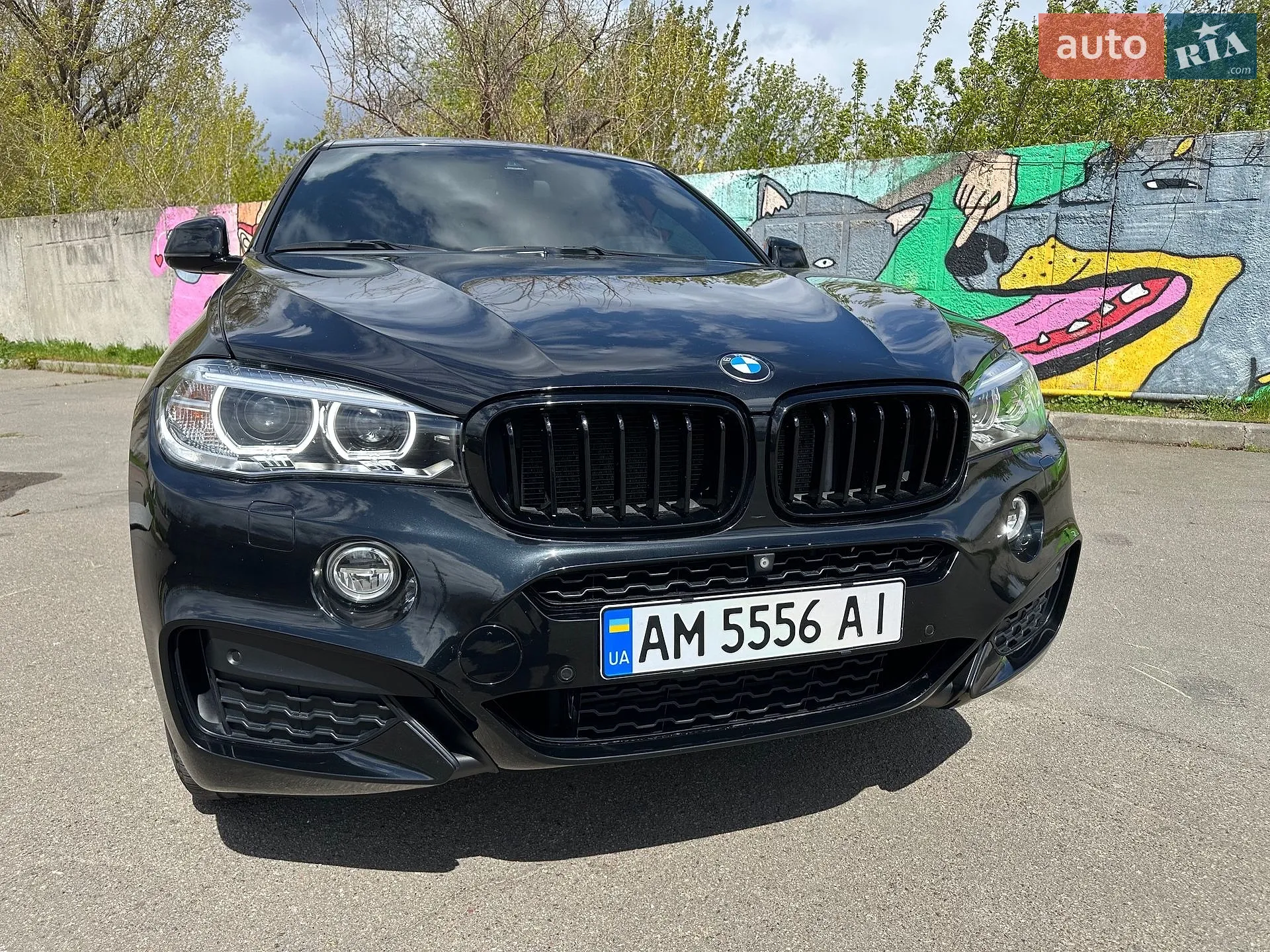 2016 BMW X6 - мініатюра 11
