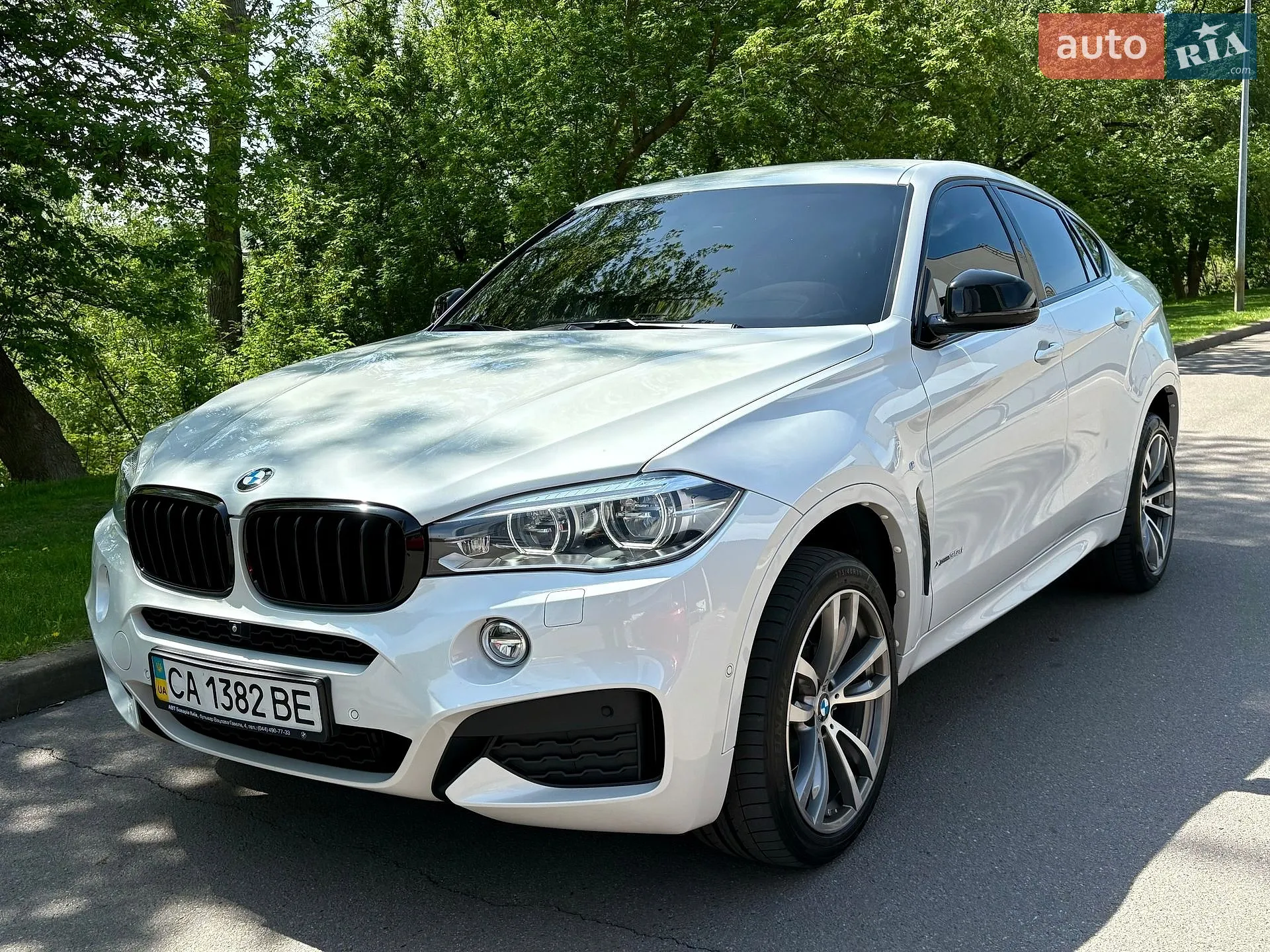 2019 BMW X6 - мініатюра 14