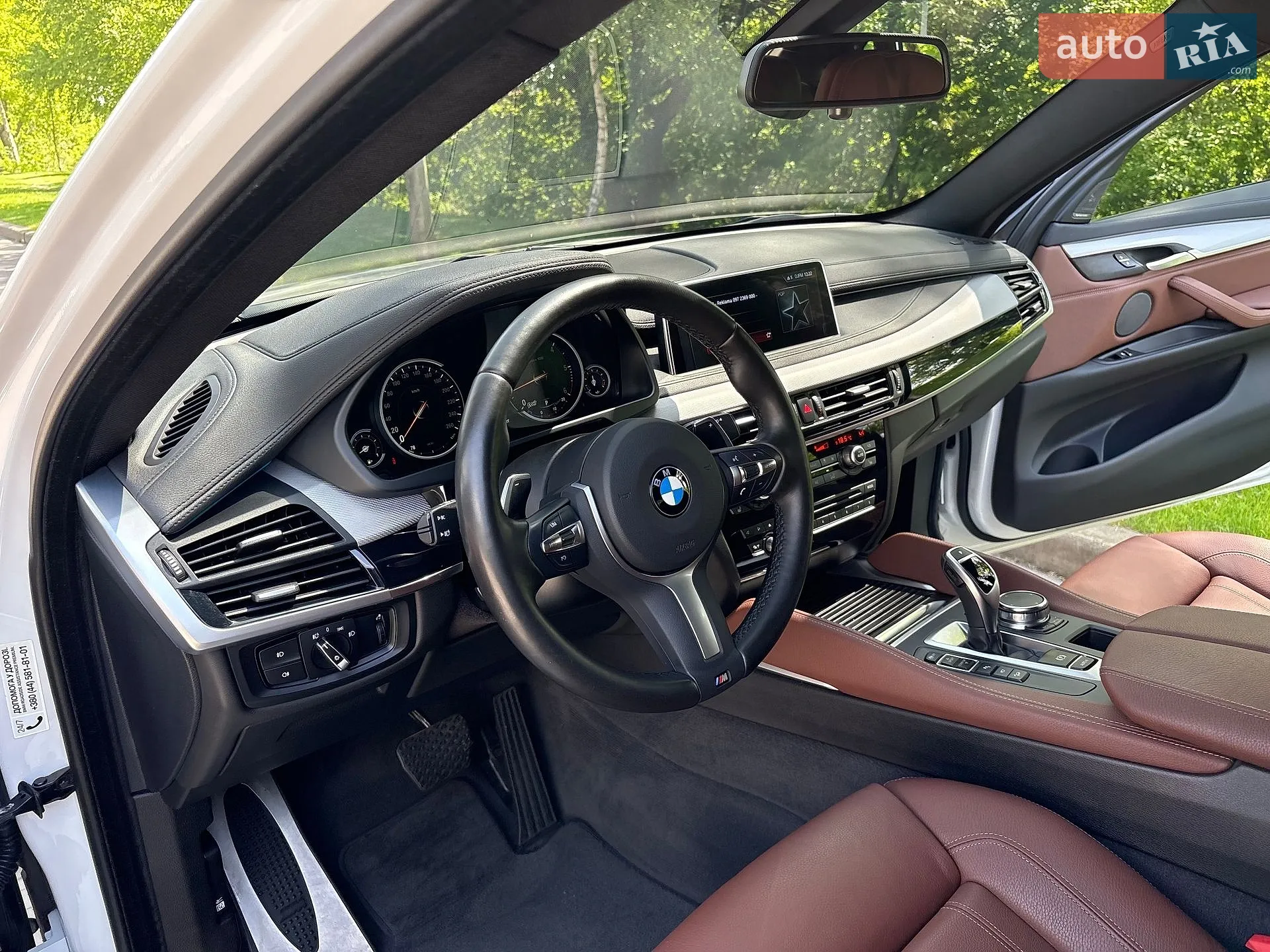 2019 BMW X6 - мініатюра 38