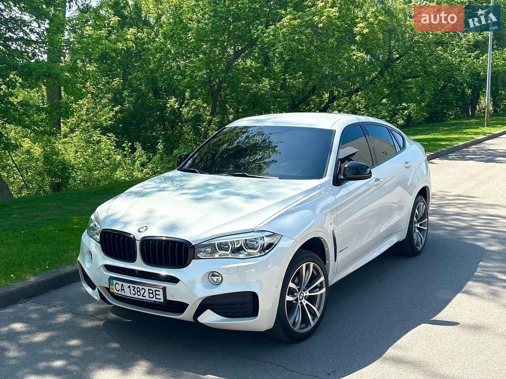 2019 BMW X6 - мініатюра 47