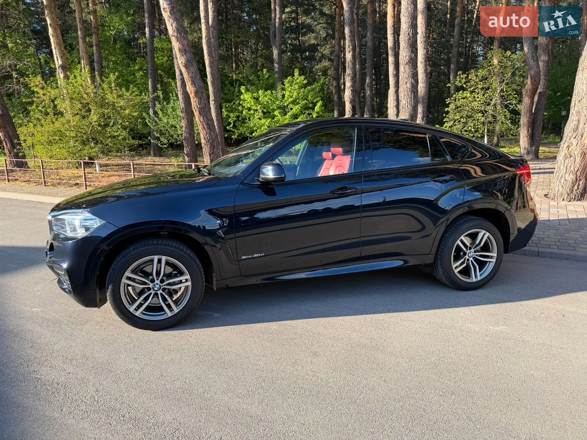 2016 BMW X6 - мініатюра 2