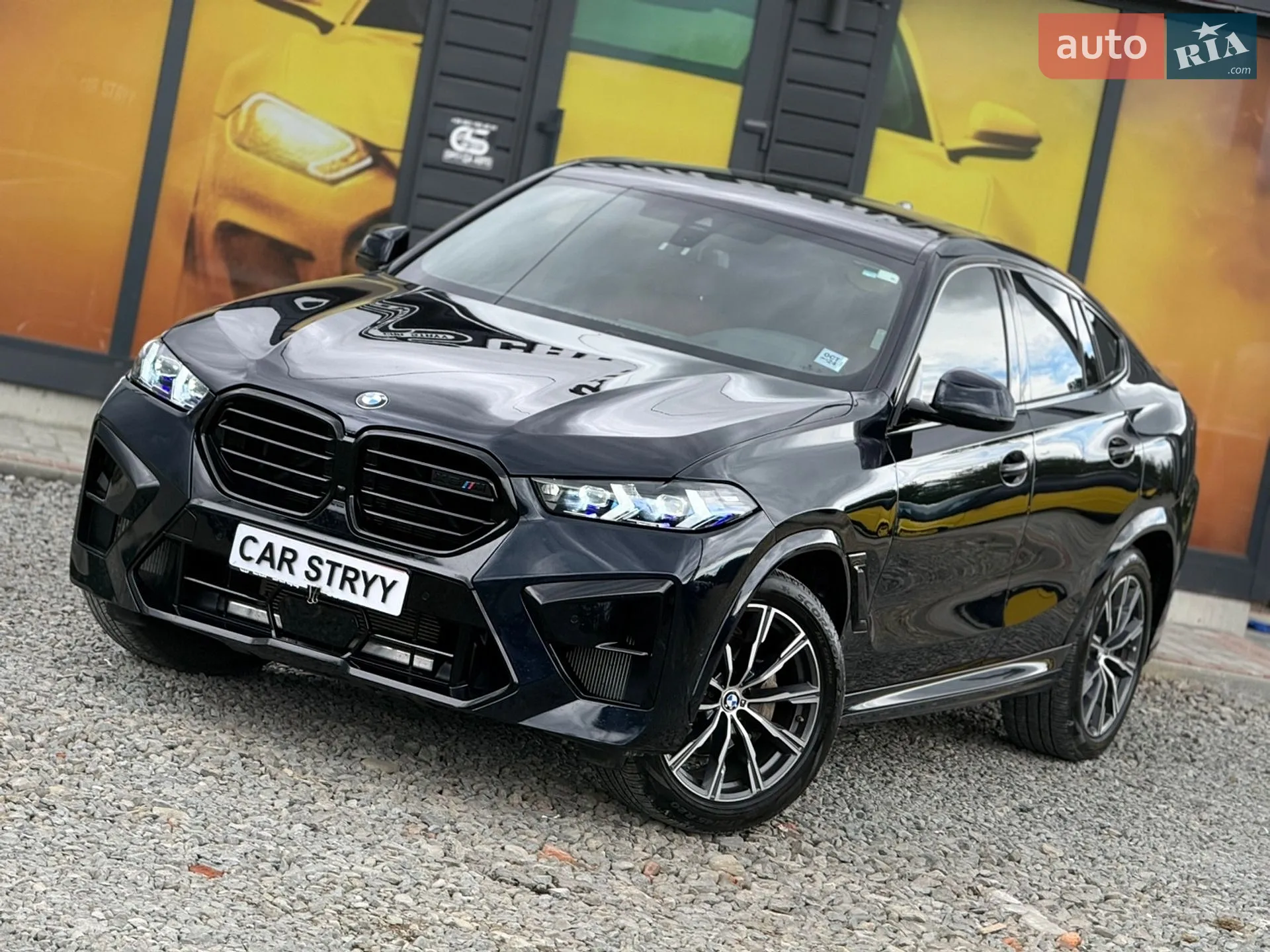 2021 BMW X6 - мініатюра 8