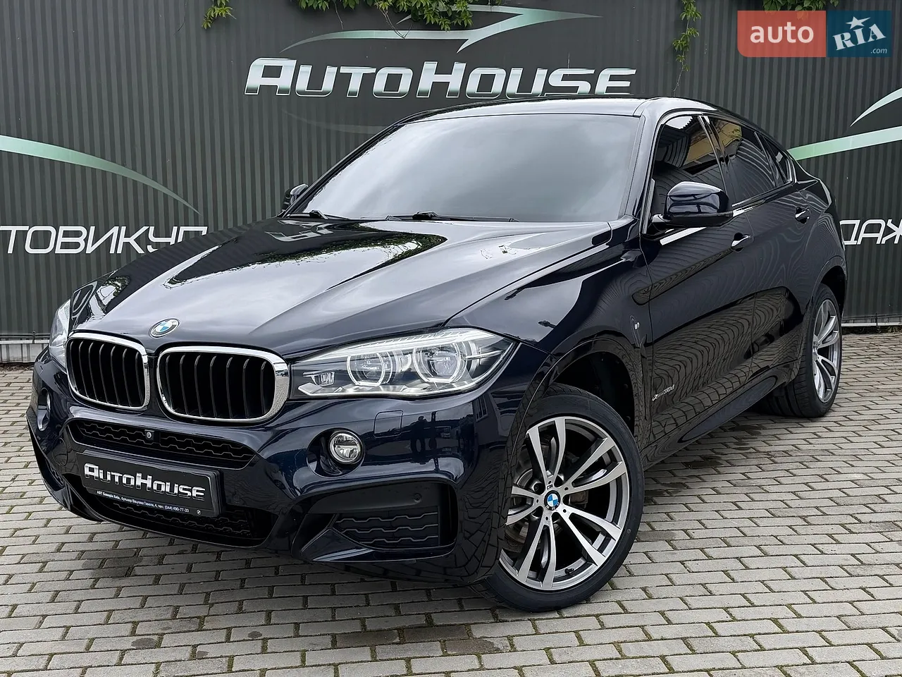 2019 BMW X6 - мініатюра 19