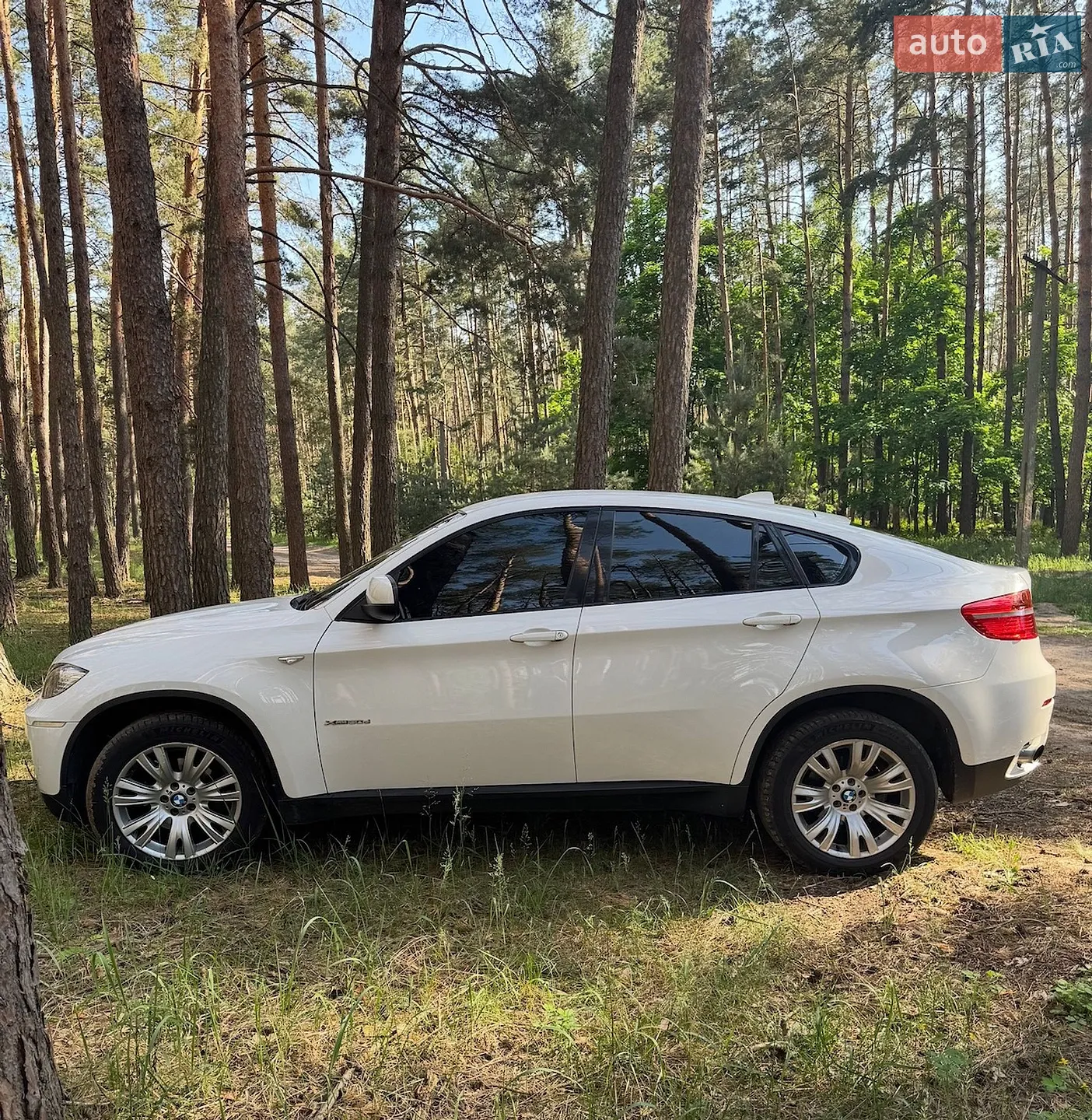2011 BMW X6 - мініатюра 3