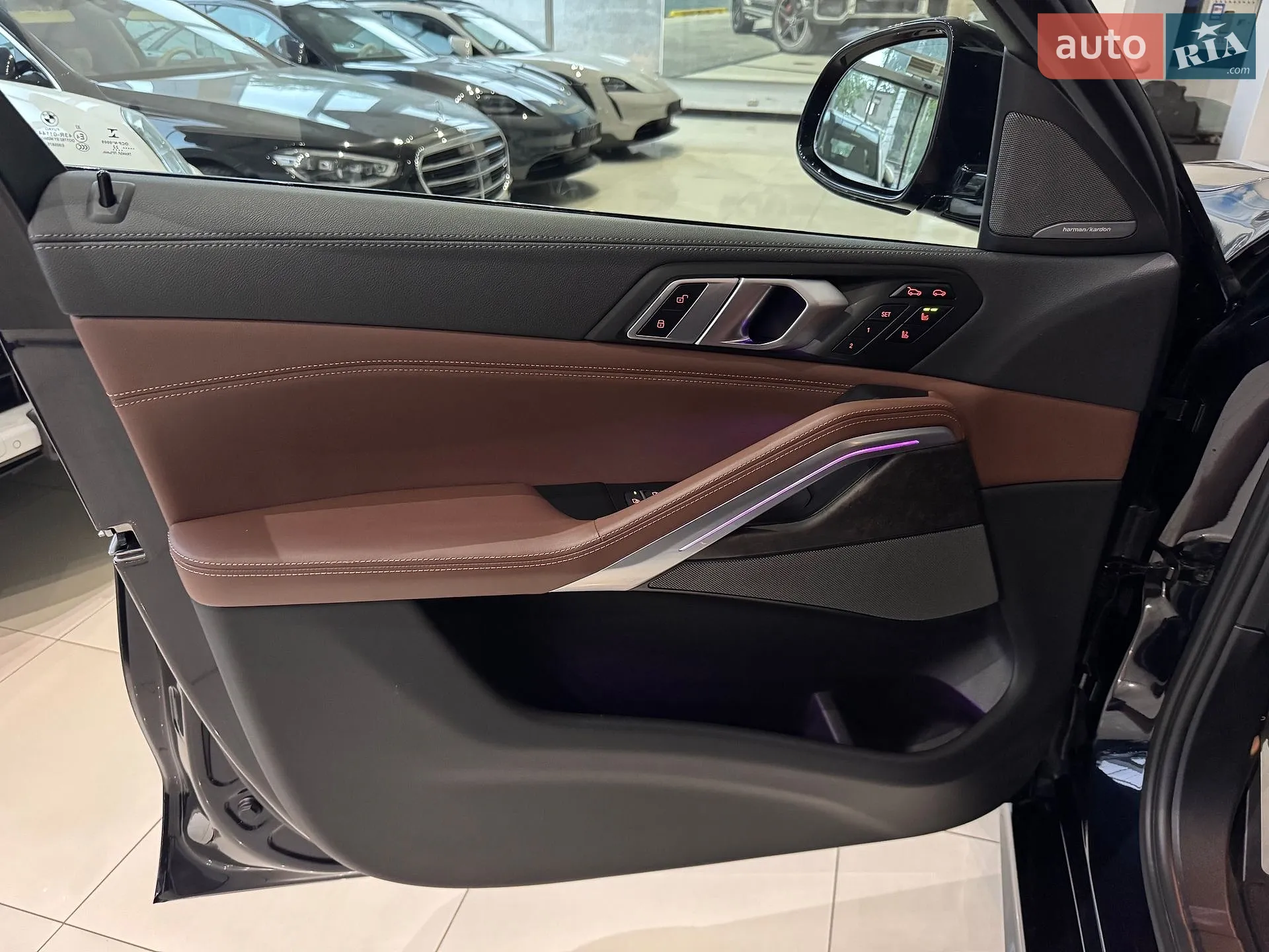 2023 BMW X6 - мініатюра 178