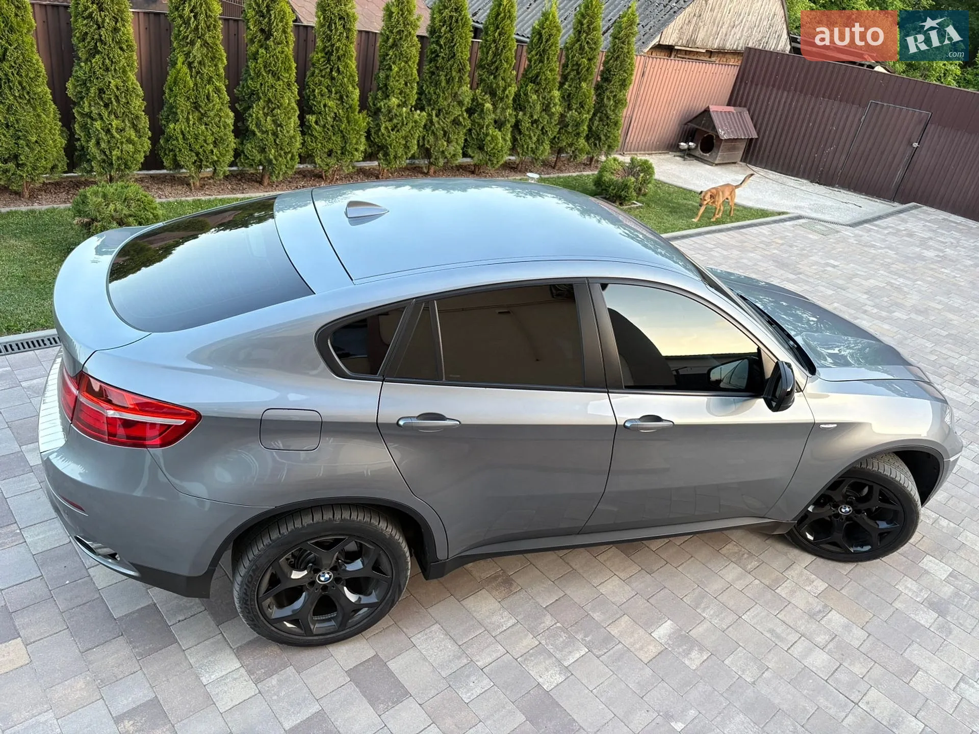 2013 BMW X6 - мініатюра 5