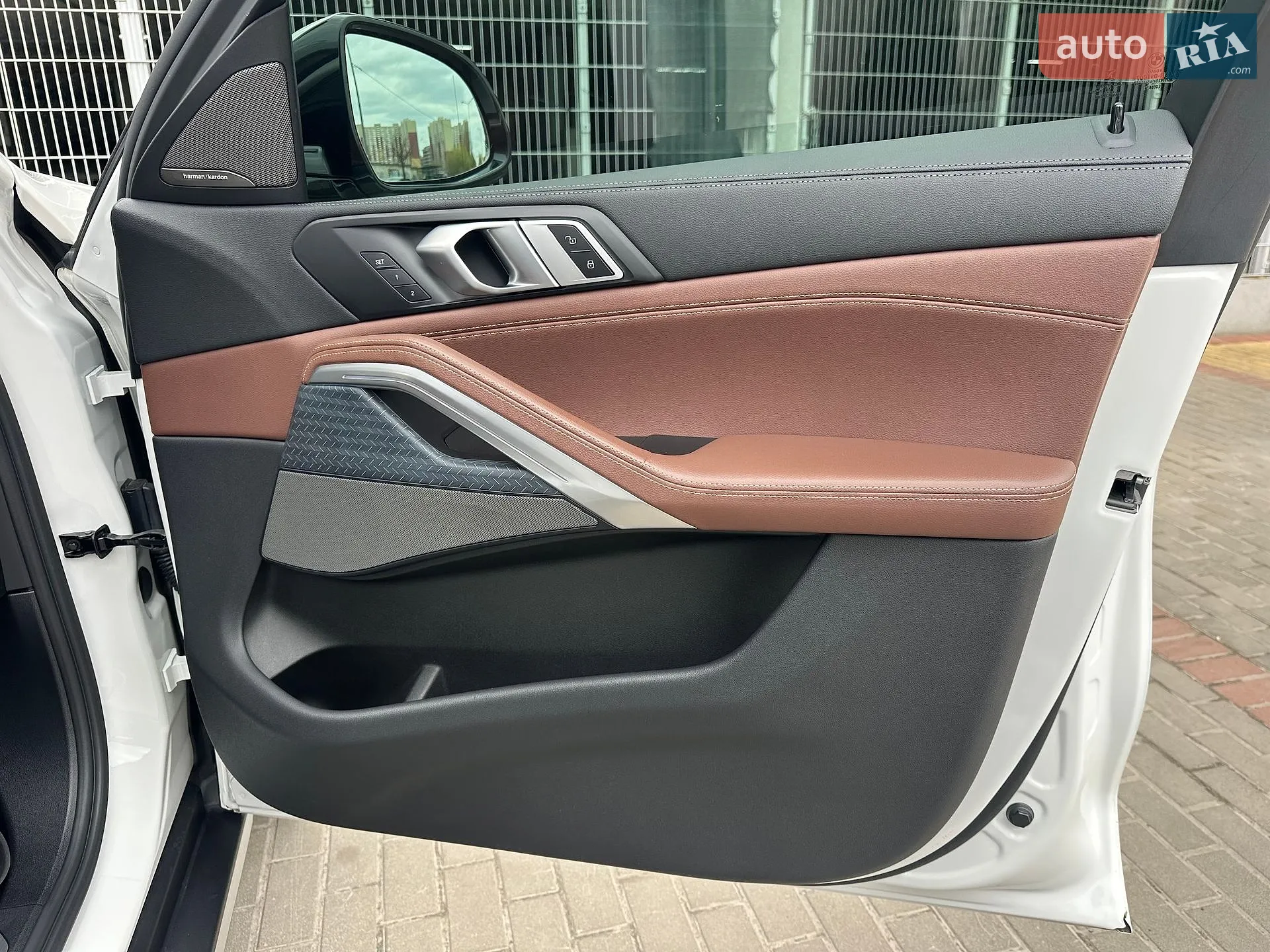 2019 BMW X6 - мініатюра 44