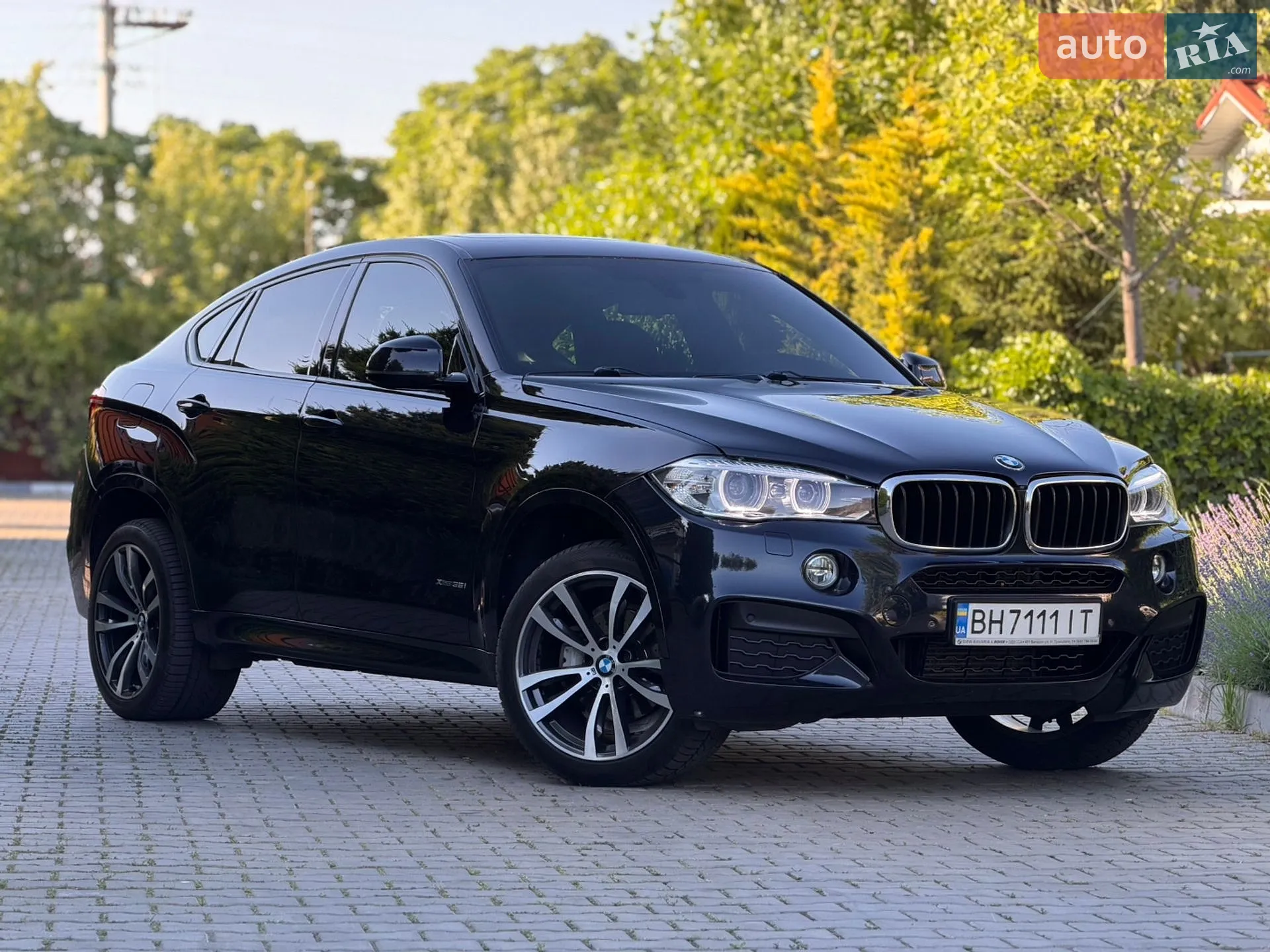 2016 BMW X6 - мініатюра 7