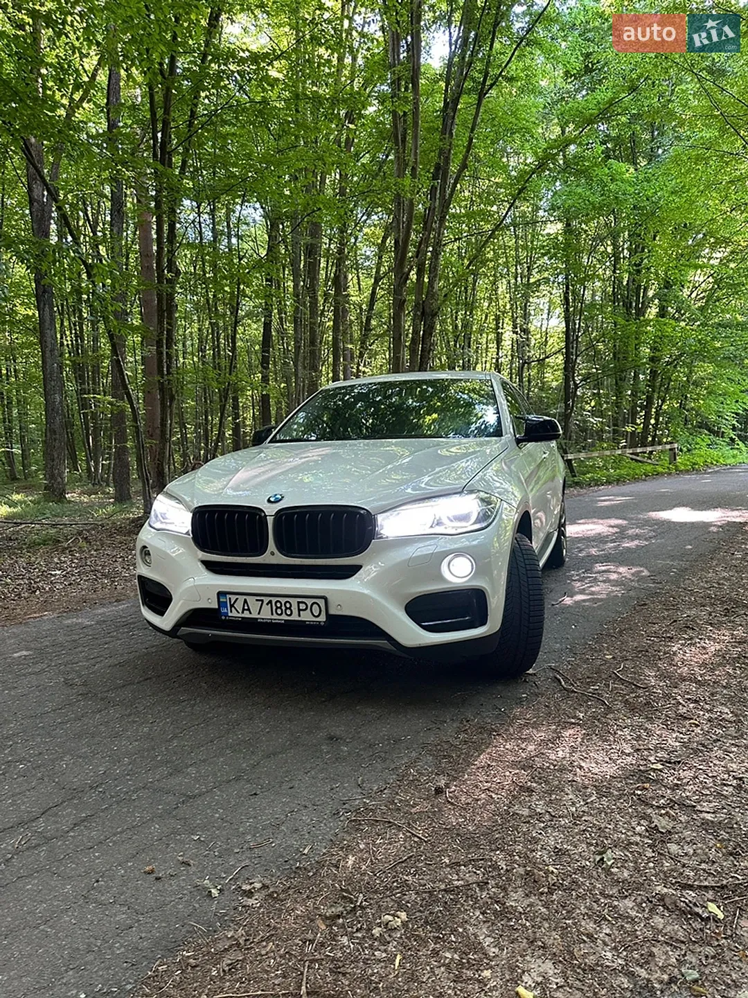 2014 BMW X6 - мініатюра 3