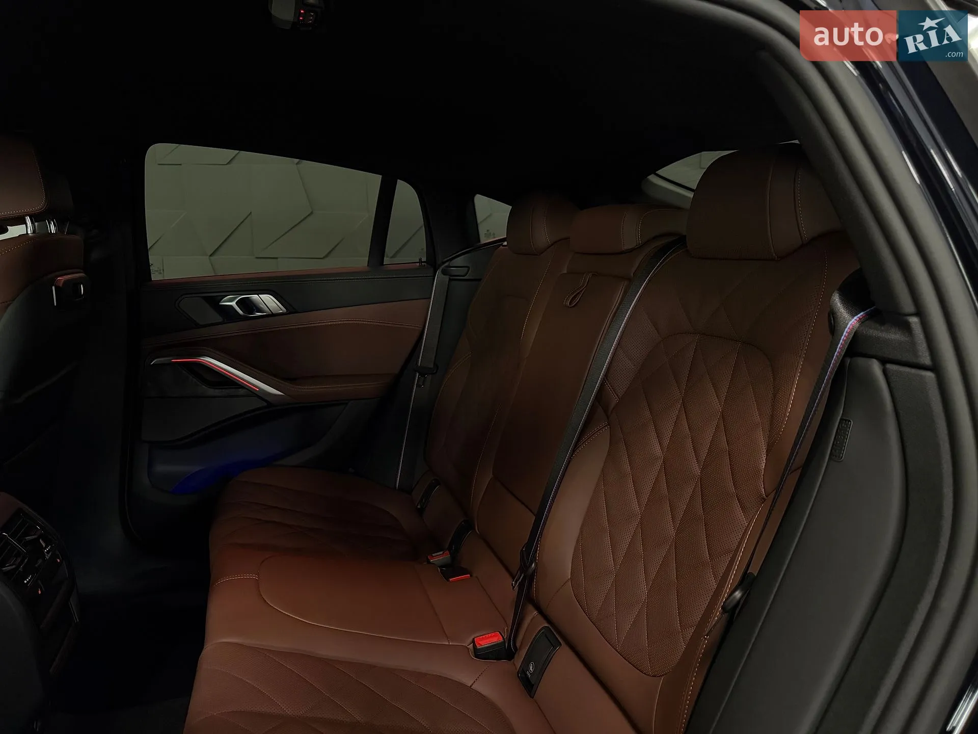 2025 BMW X6 - мініатюра 48