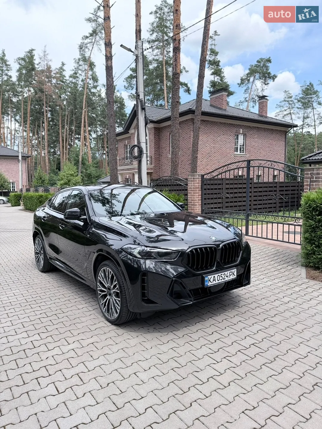 2025 BMW X6 - мініатюра 3
