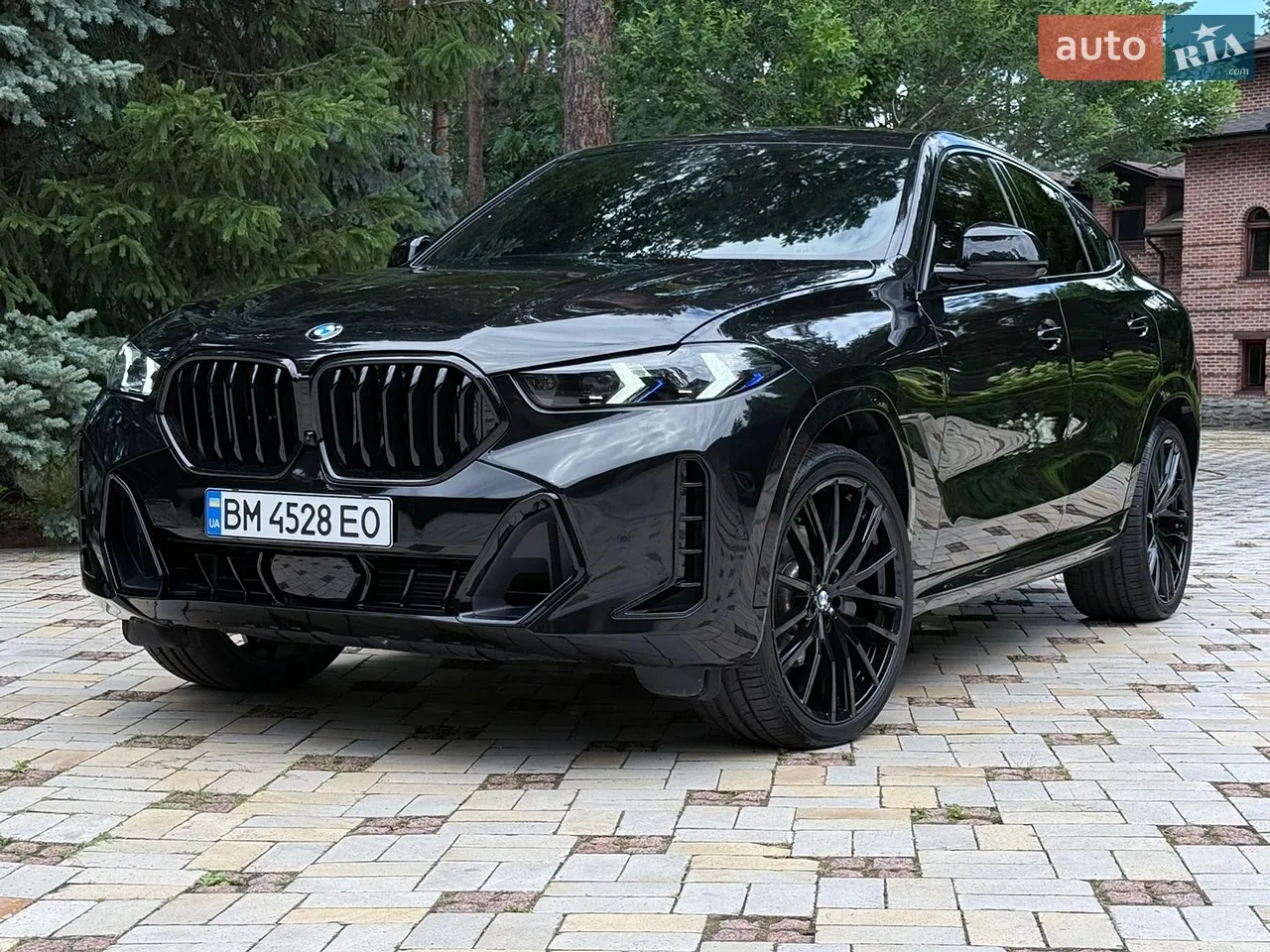 2023 BMW X6 - мініатюра 35