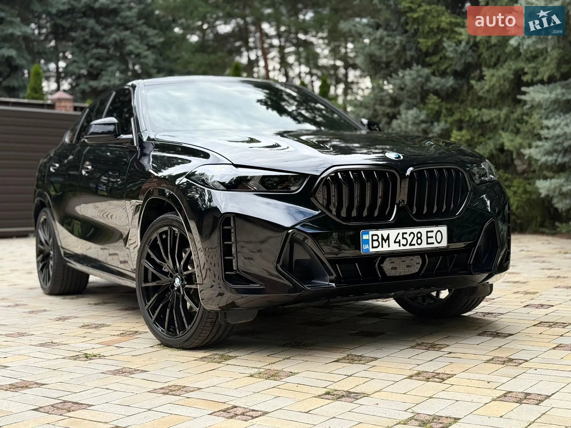 2024 BMW X6 - мініатюра 3