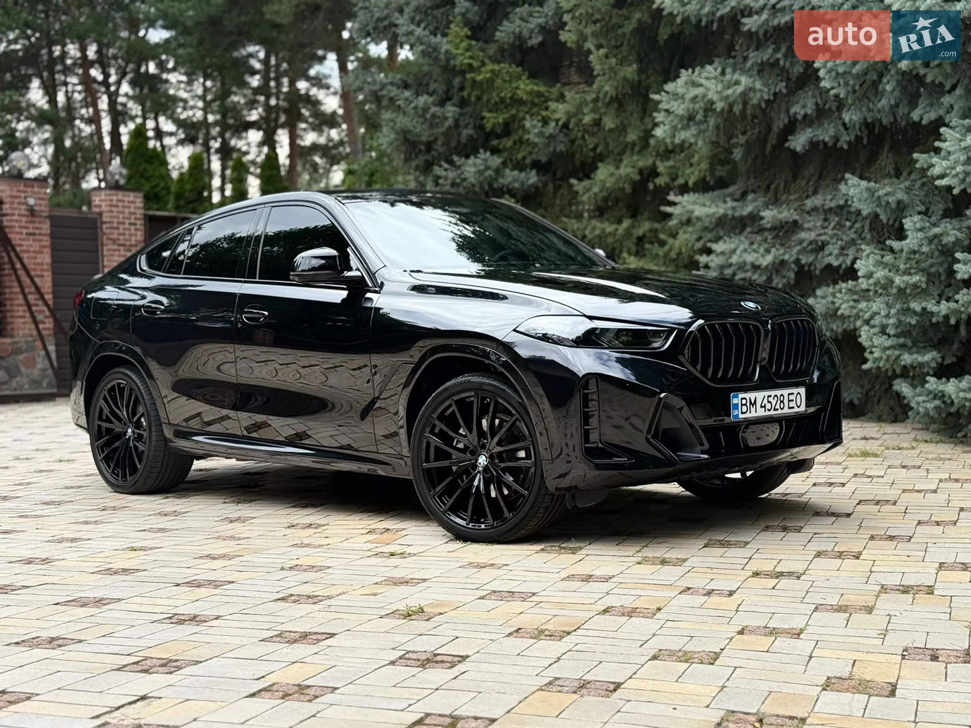 2024 BMW X6 - мініатюра 4