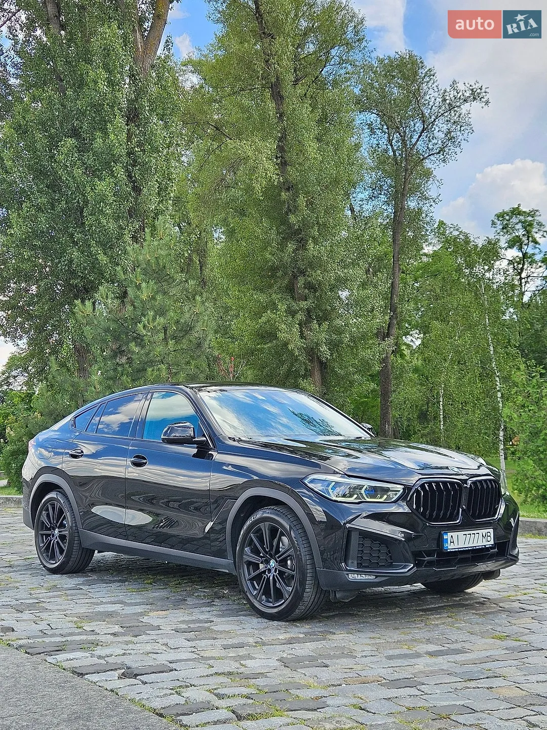 2020 BMW X6 - мініатюра 4