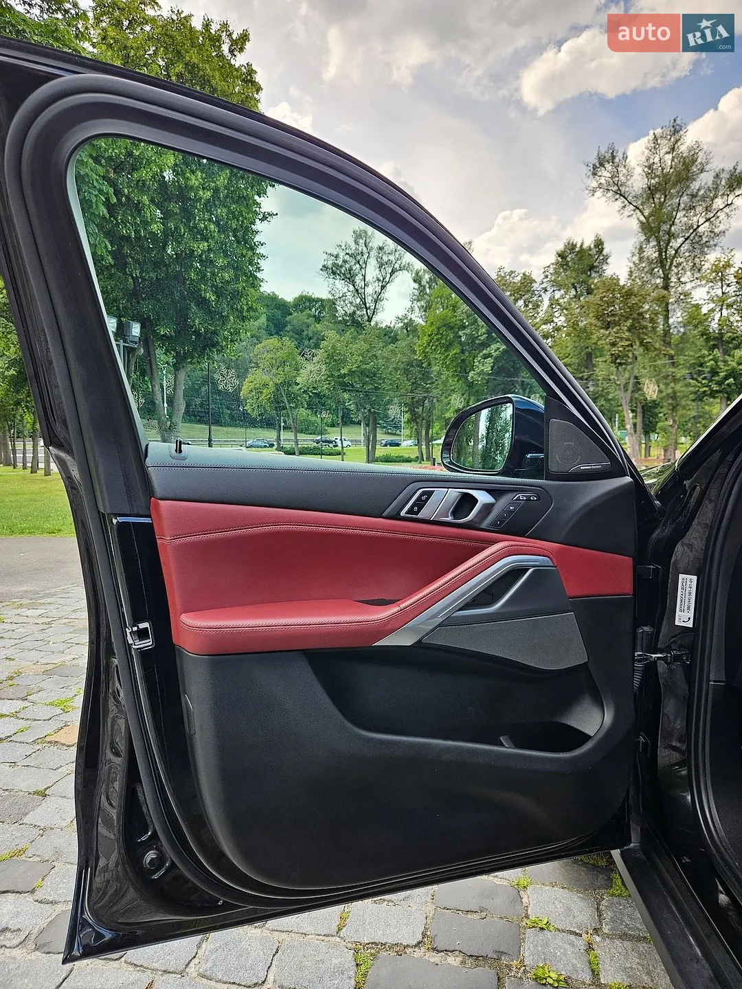 2020 BMW X6 - мініатюра 21