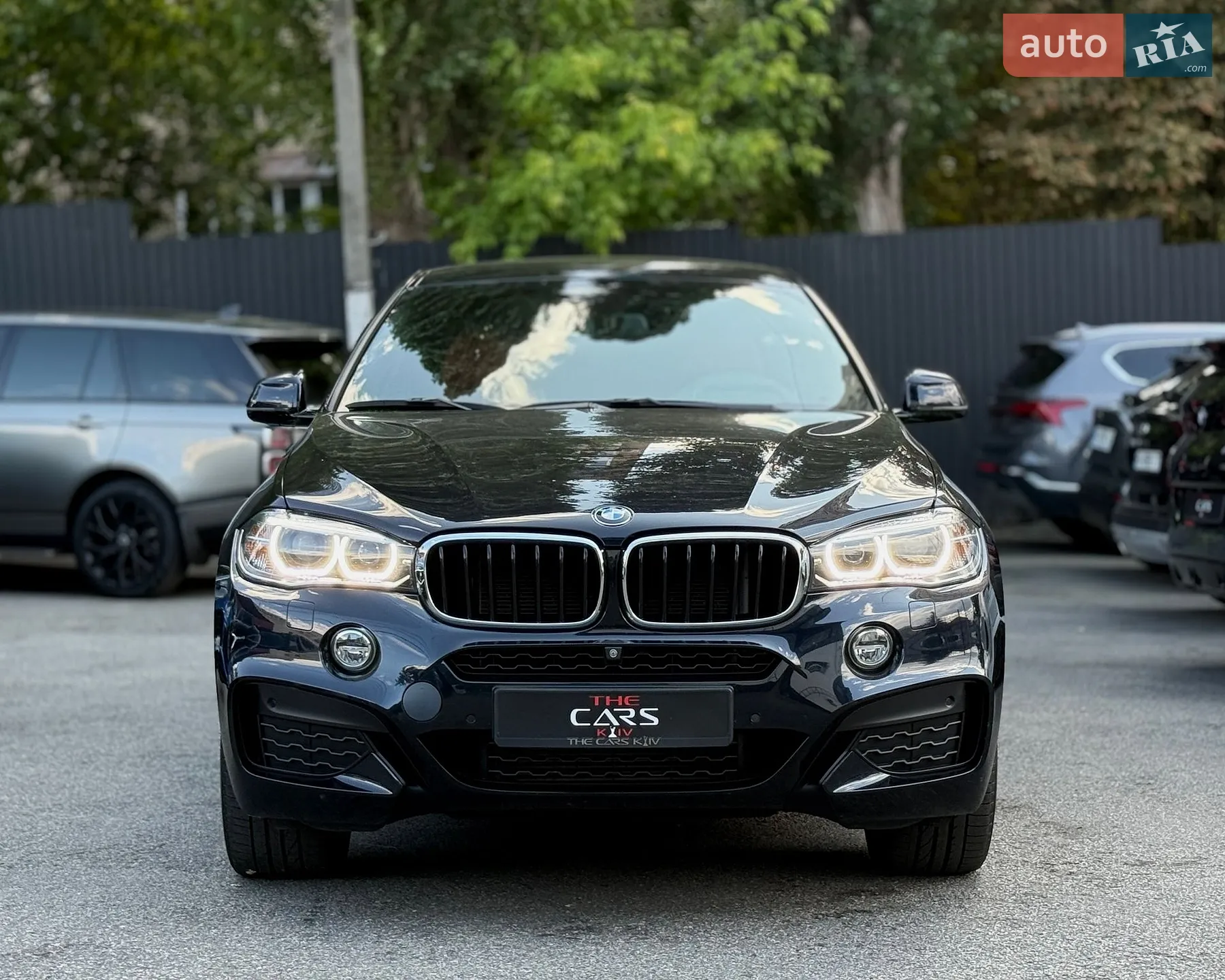 2016 BMW X6 - мініатюра 2