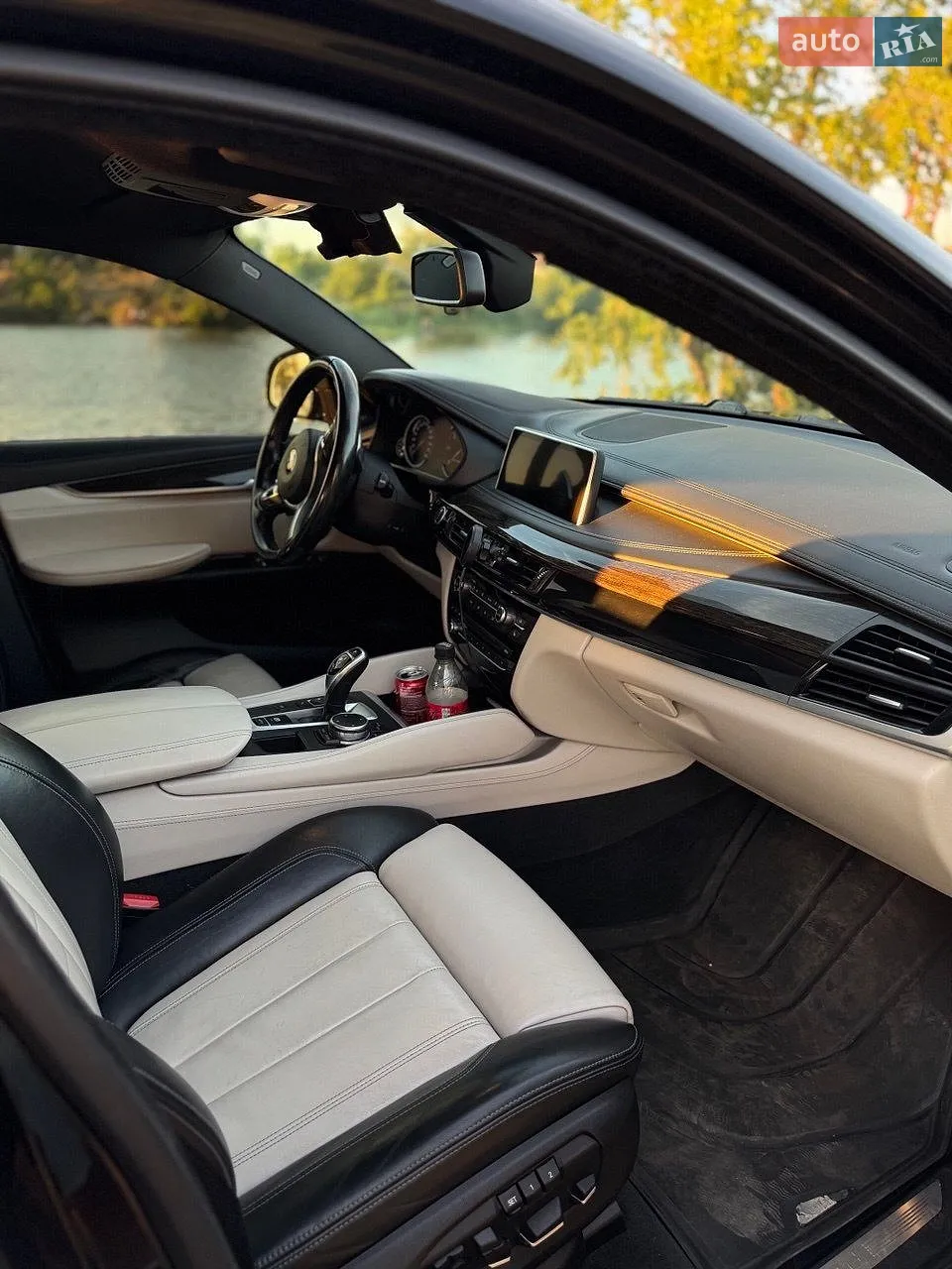2015 BMW X6 - мініатюра 8