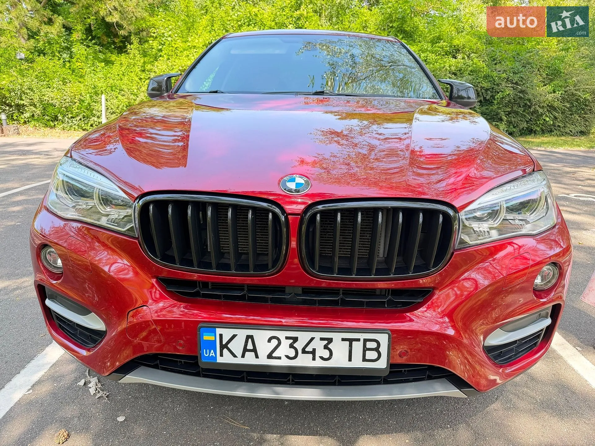 2017 BMW X6 - мініатюра 3