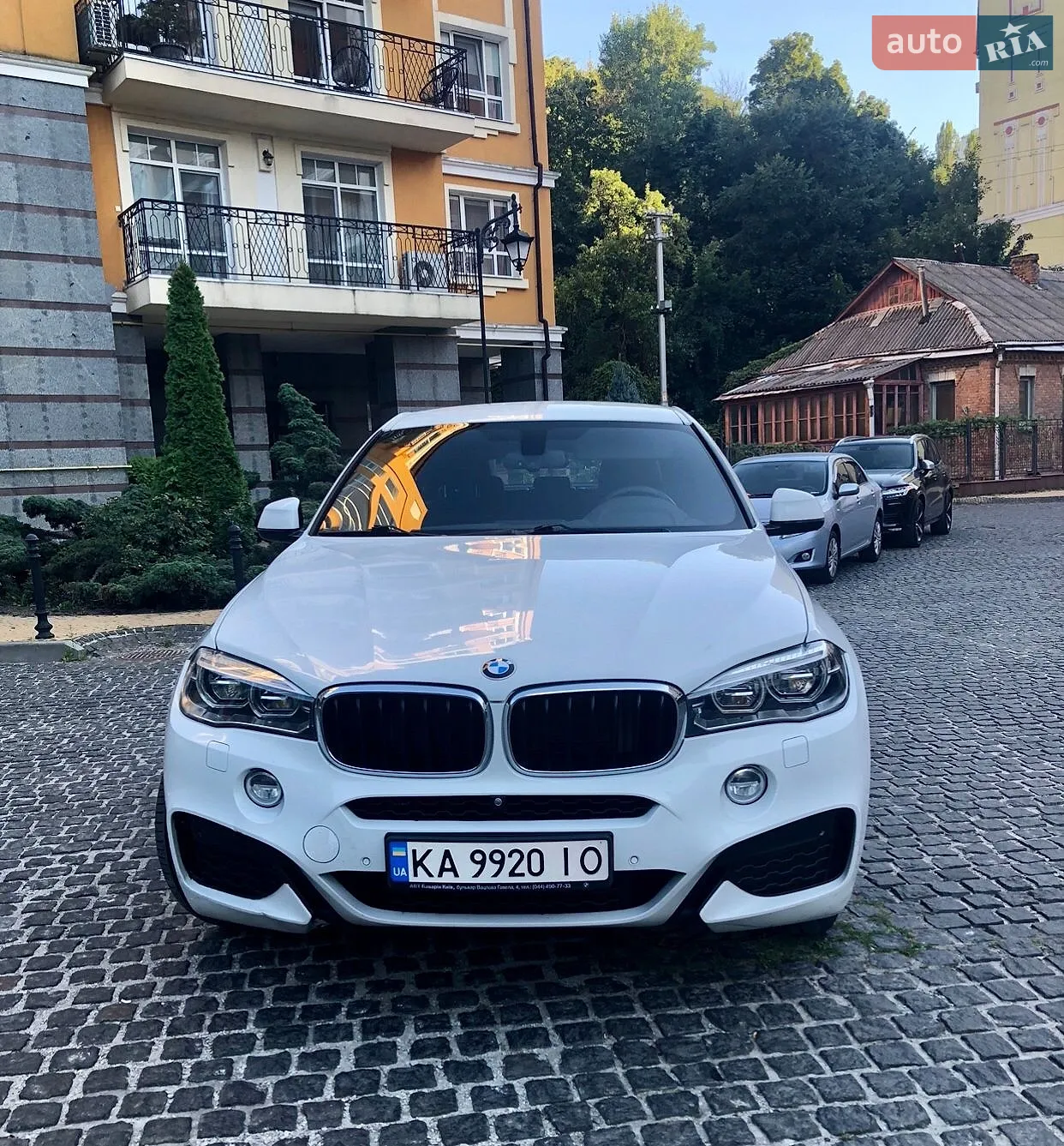 2018 BMW X6 - мініатюра 2