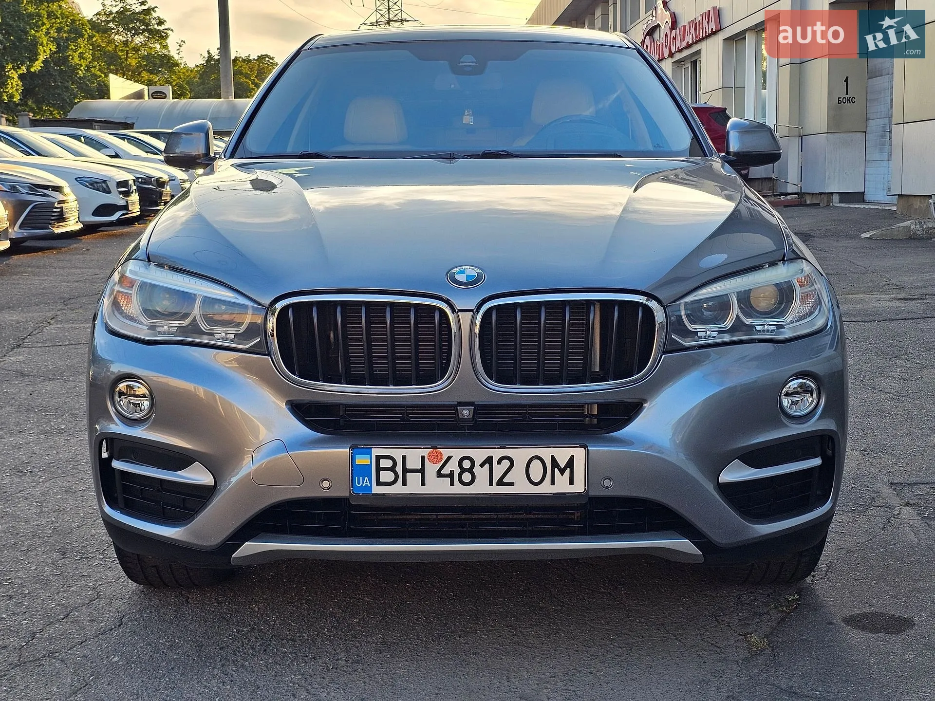 2014 BMW X6 - мініатюра 5