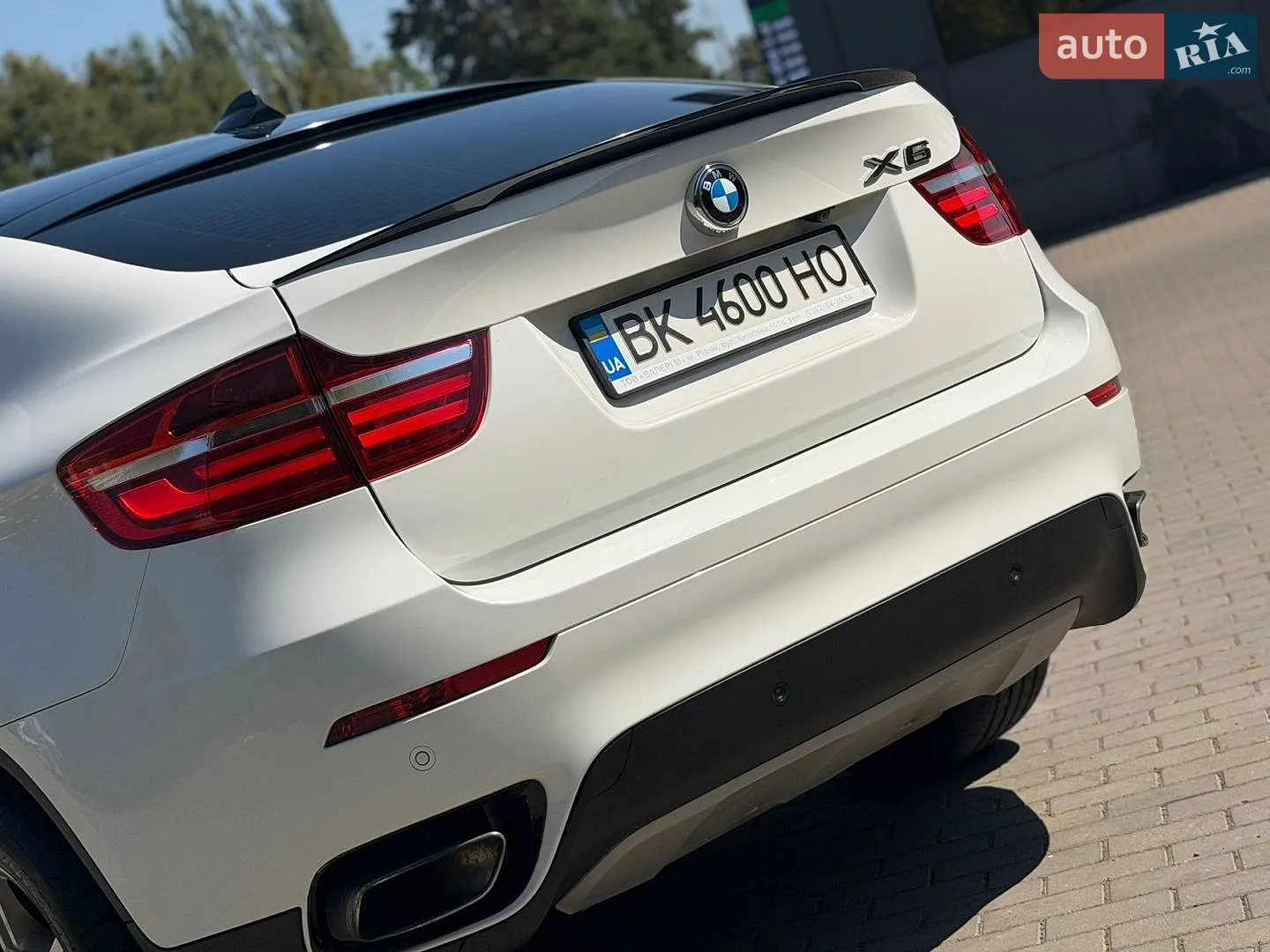 2013 BMW X6 - мініатюра 14