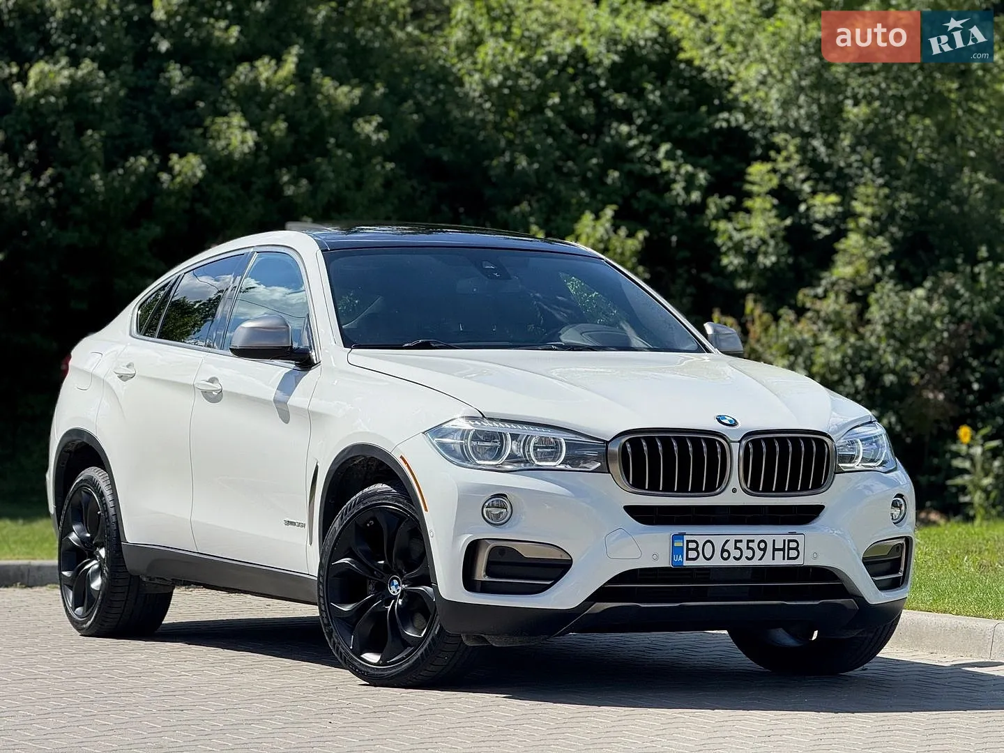 2017 BMW X6 - мініатюра 7