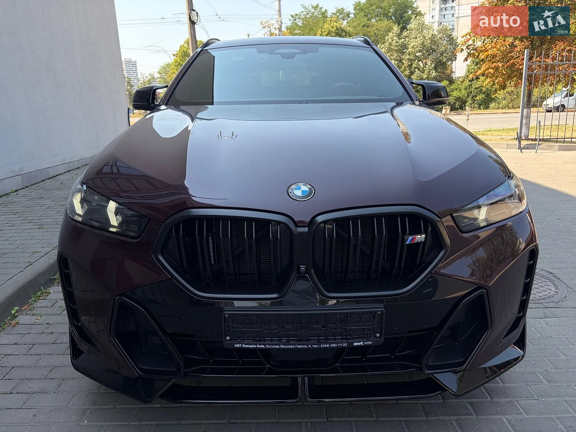 2023 BMW X6 - мініатюра 6