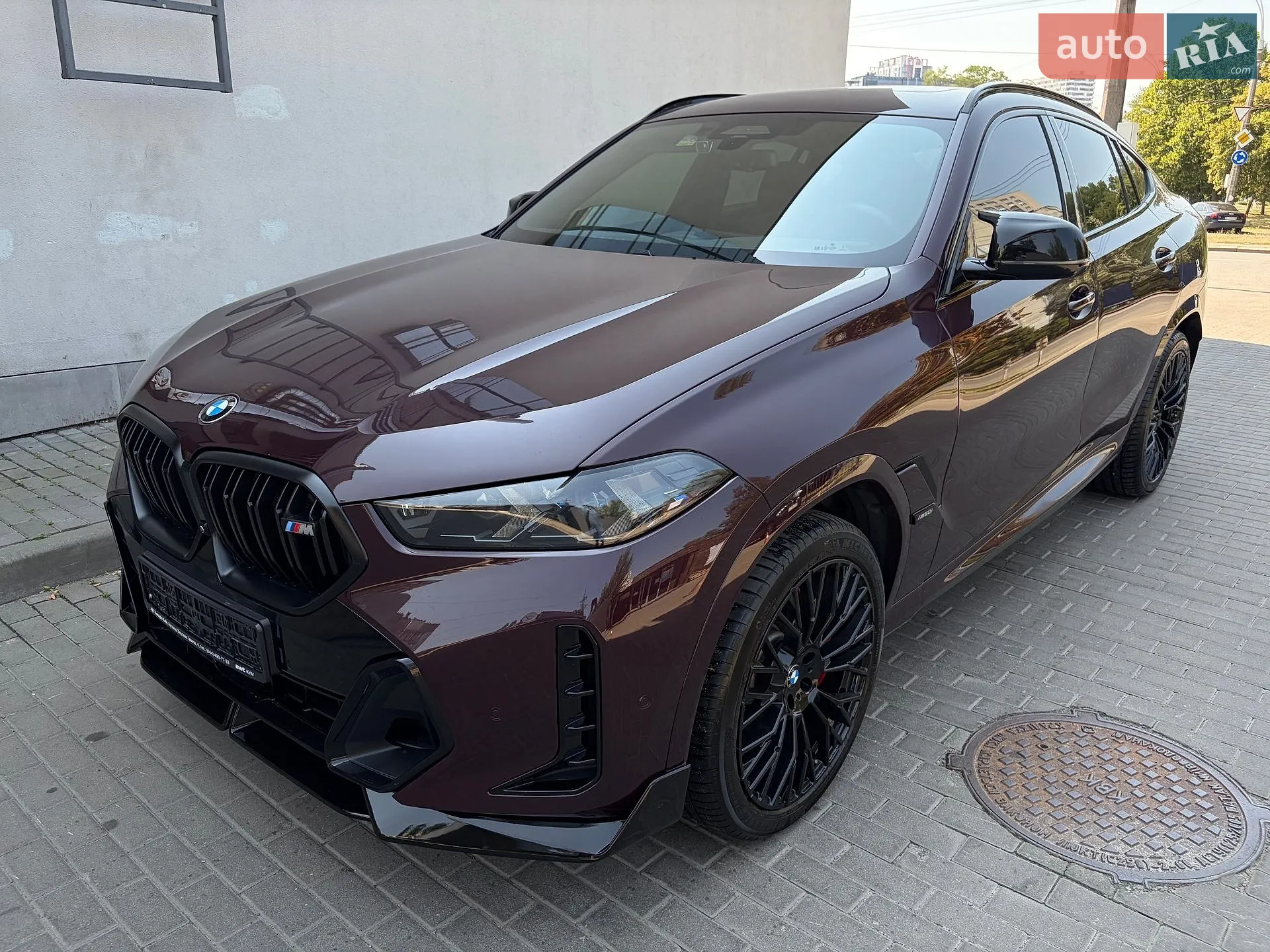 2023 BMW X6 - мініатюра 33