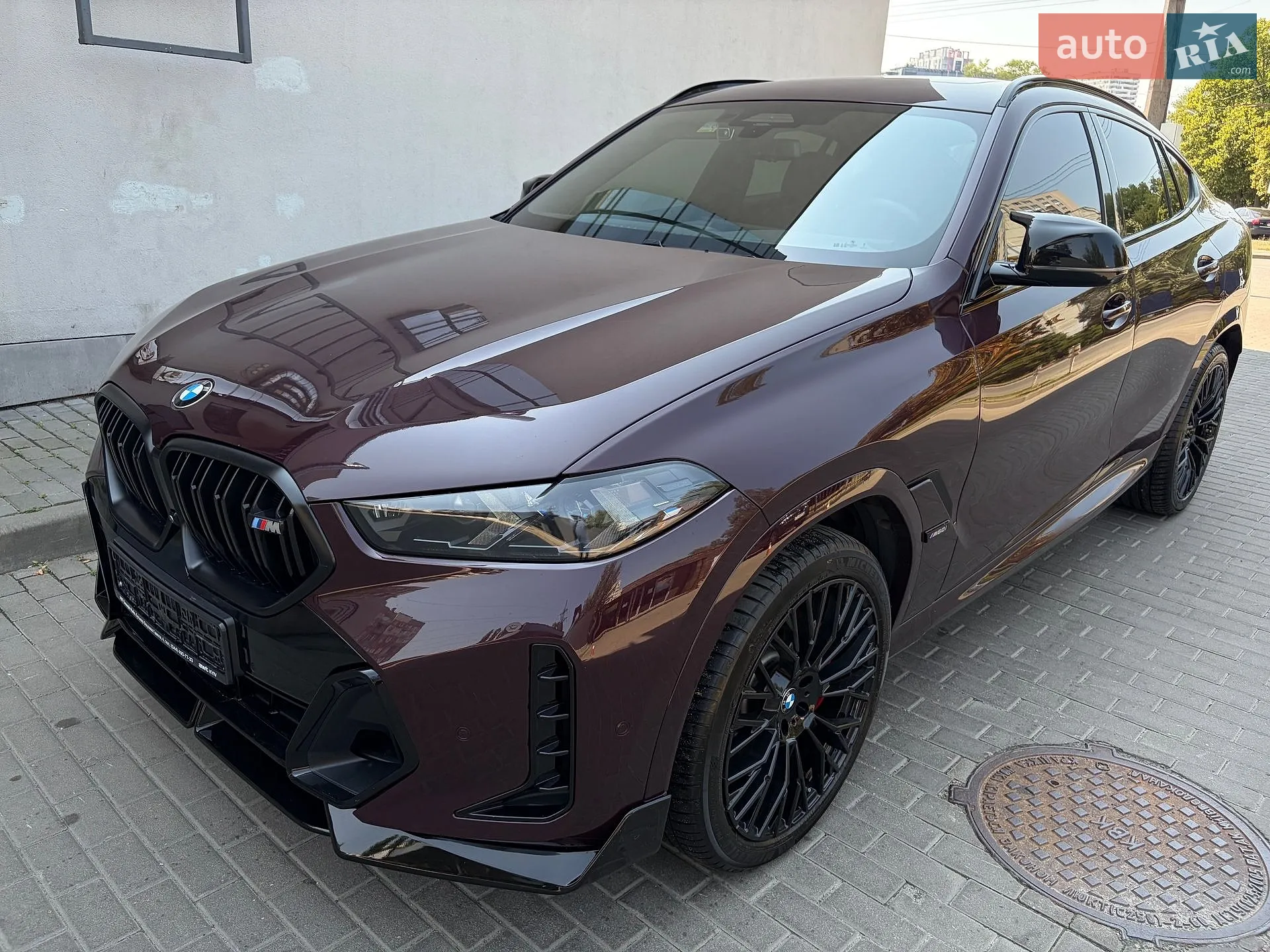 2023 BMW X6 - мініатюра 35