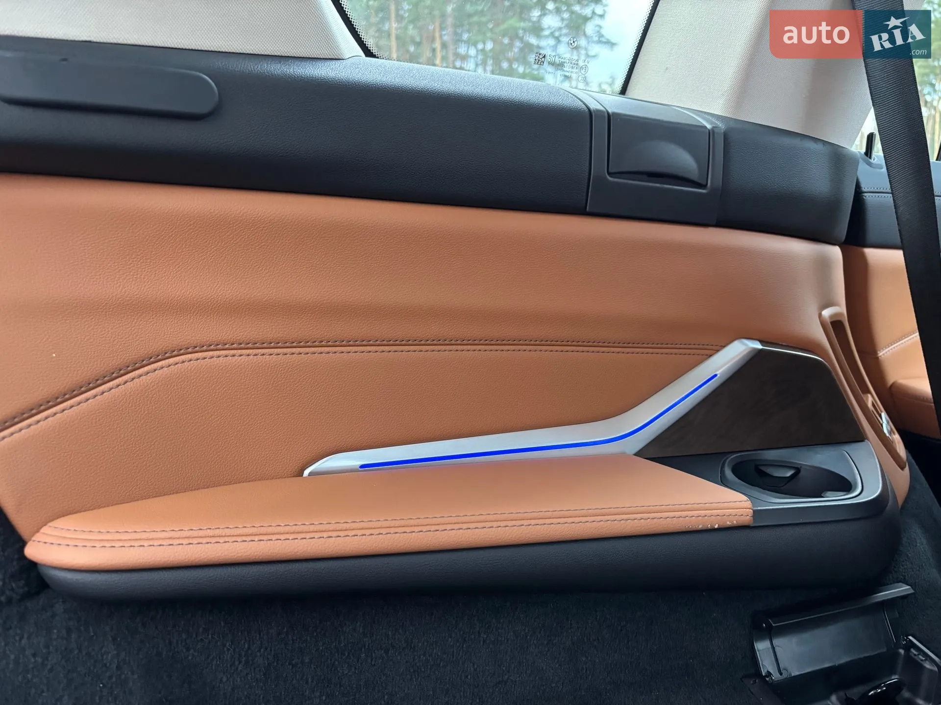 2019 BMW X7 - мініатюра 64