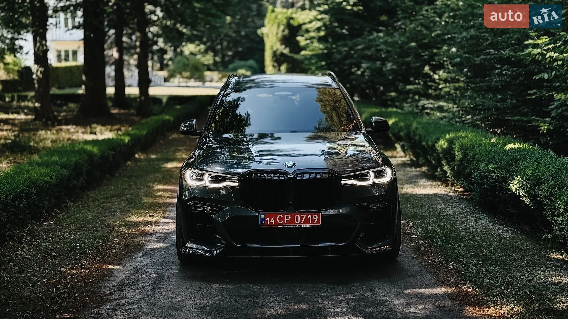 2019 BMW X7 - мініатюра 3