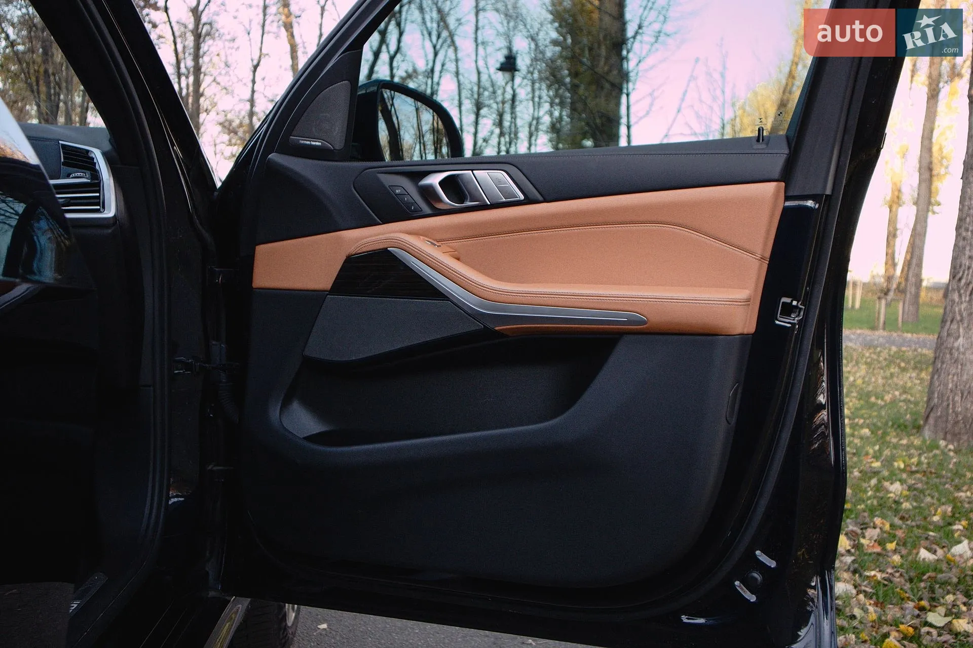2021 BMW X7 - мініатюра 51