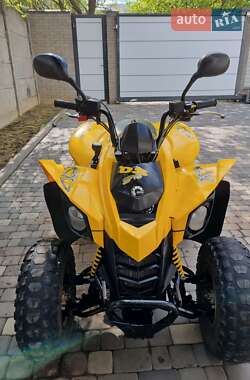 Квадроцикл спортивний BRP DS 250 2009 в 