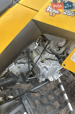 Квадроцикл спортивний BRP DS 250 2007 в 