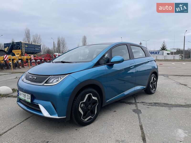 Хетчбек BYD Dolphin 2023 в Житомирі