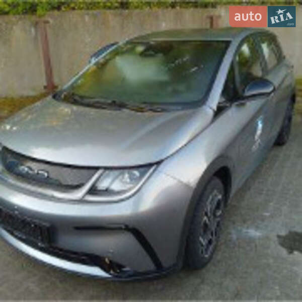 BYD Dolphin 2024