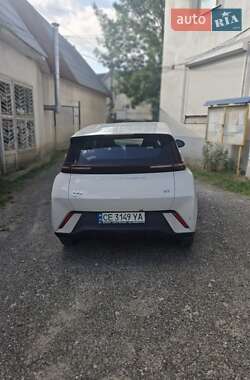 Хэтчбек BYD Seagull 2024 в 