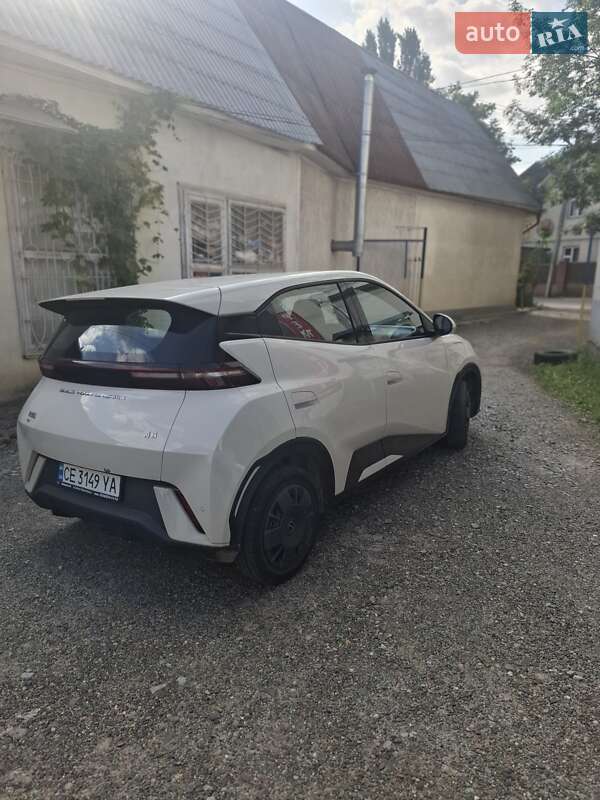 Хэтчбек BYD Seagull 2024 в Черновцах