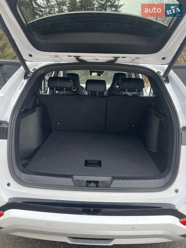 Внедорожник / Кроссовер BYD Song Plus 2023 в Киеве фото 11 Внедорожник / Кроссовер BYD Song Plus 2023 в Киеве
