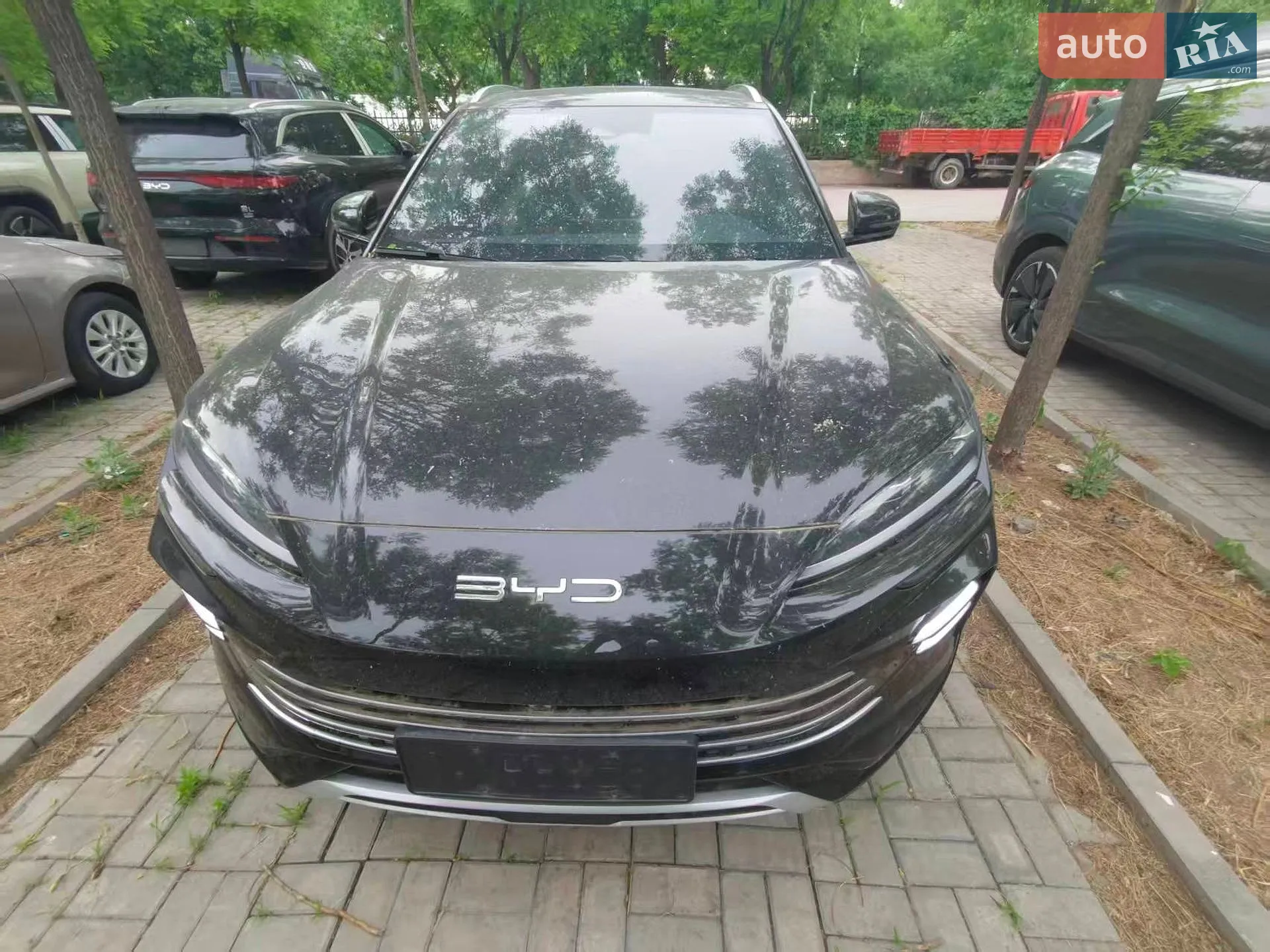 2023 BYD Song Plus - мініатюра 2