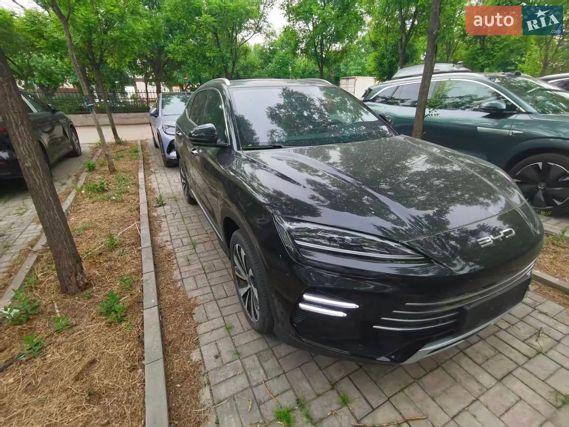 2023 BYD Song Plus - мініатюра 4