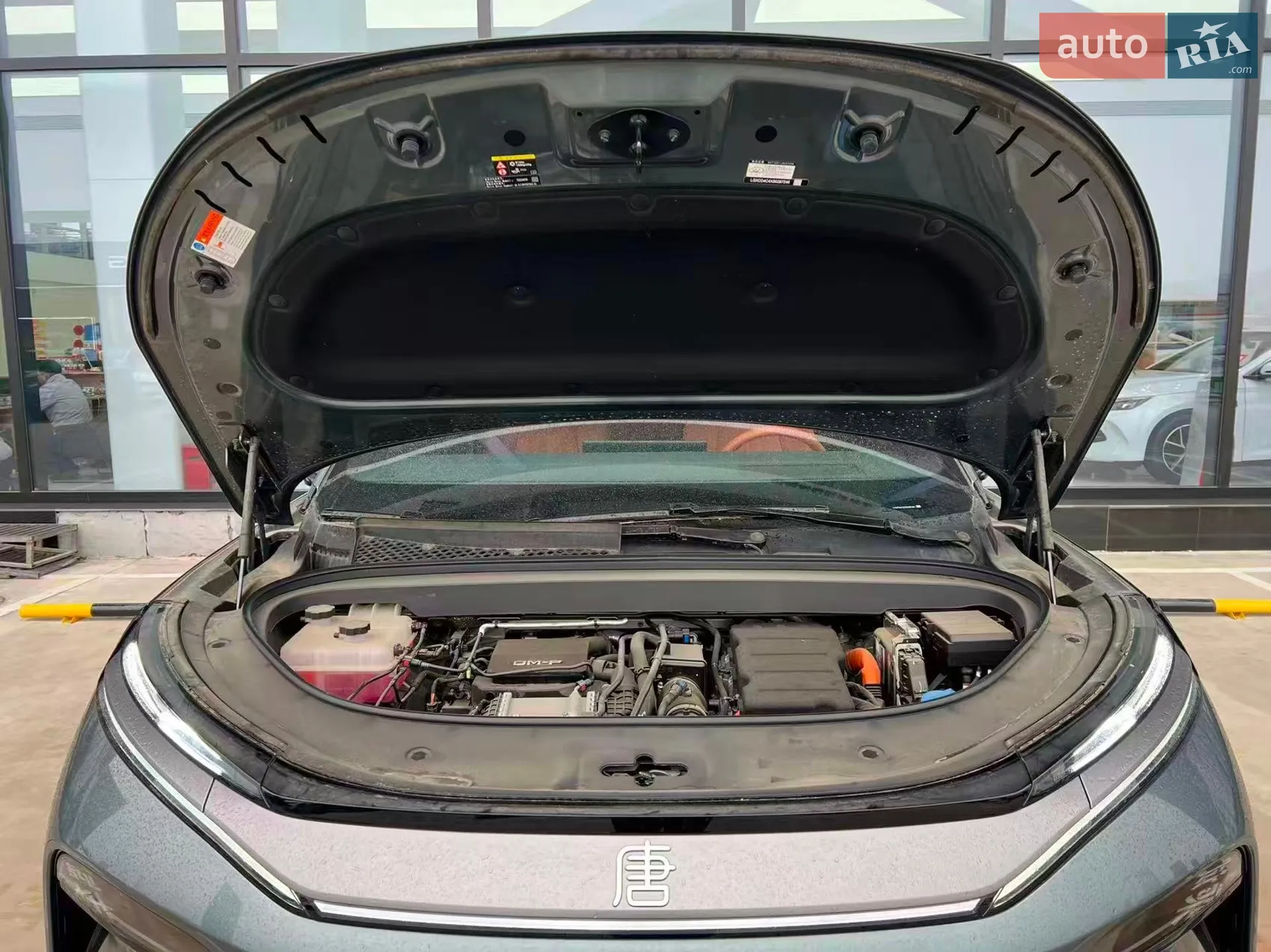 2025 BYD Tang - мініатюра 3