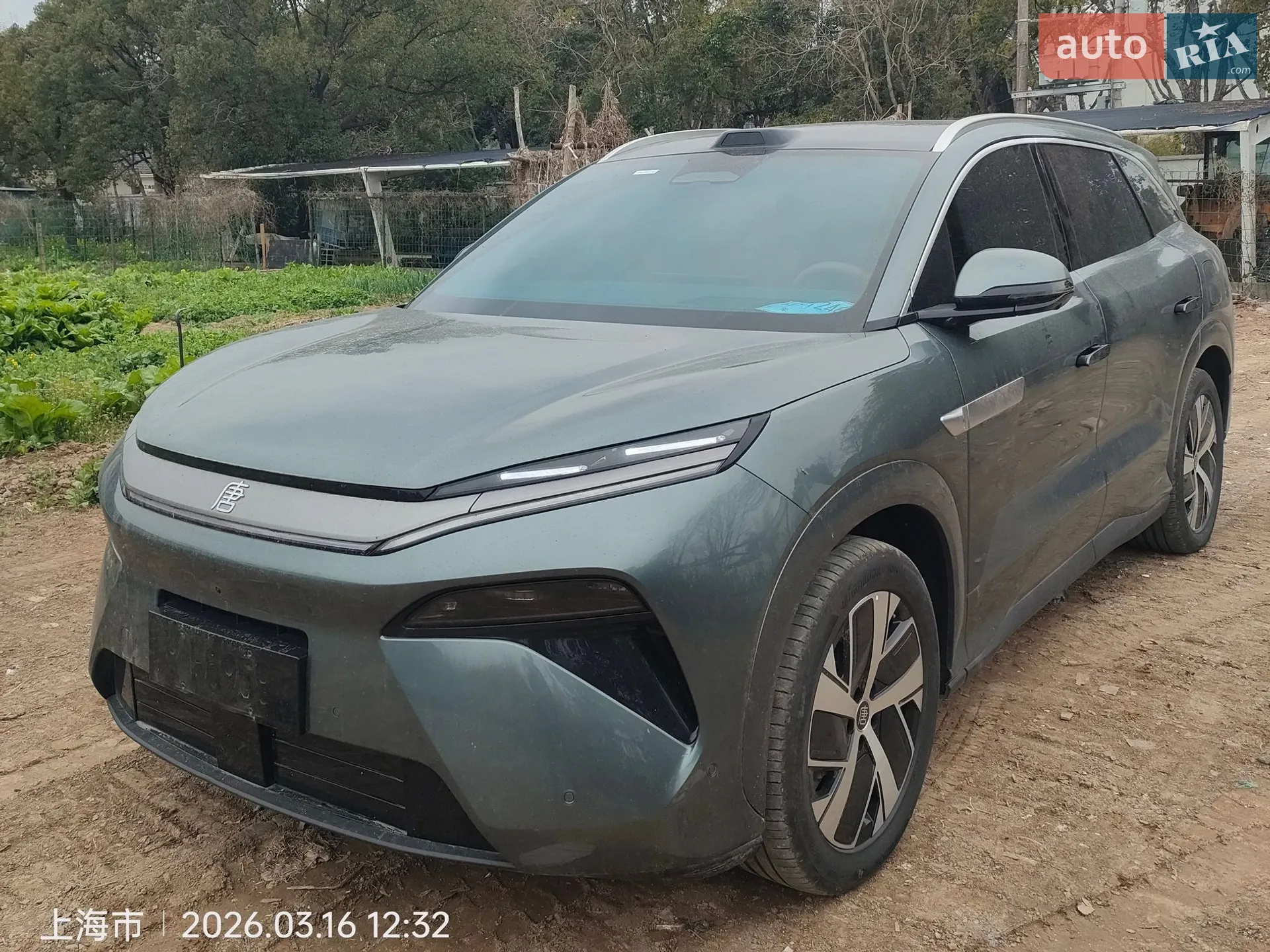 2025 BYD Tang - фото 1