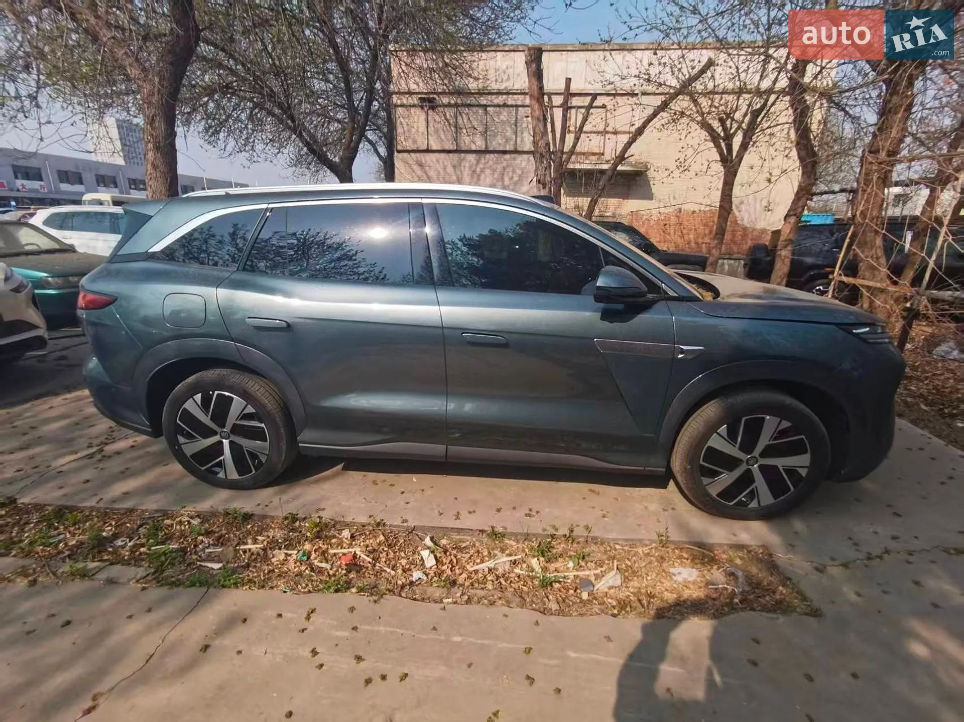 2025 BYD Tang - мініатюра 4
