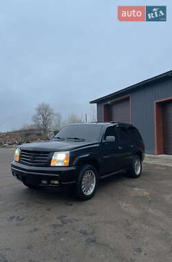 Позашляховик / Кросовер Cadillac Escalade 2002 в Переяславі